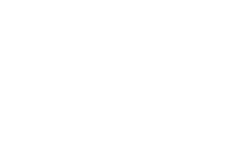 Execution Icon