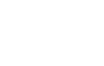 Fiduciary Icon
