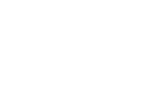 Partnership Icon